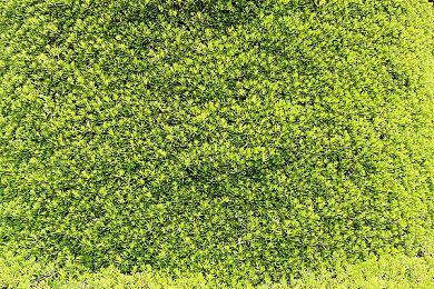 三上真司：《生化危机4》越肩视觉并非首创 